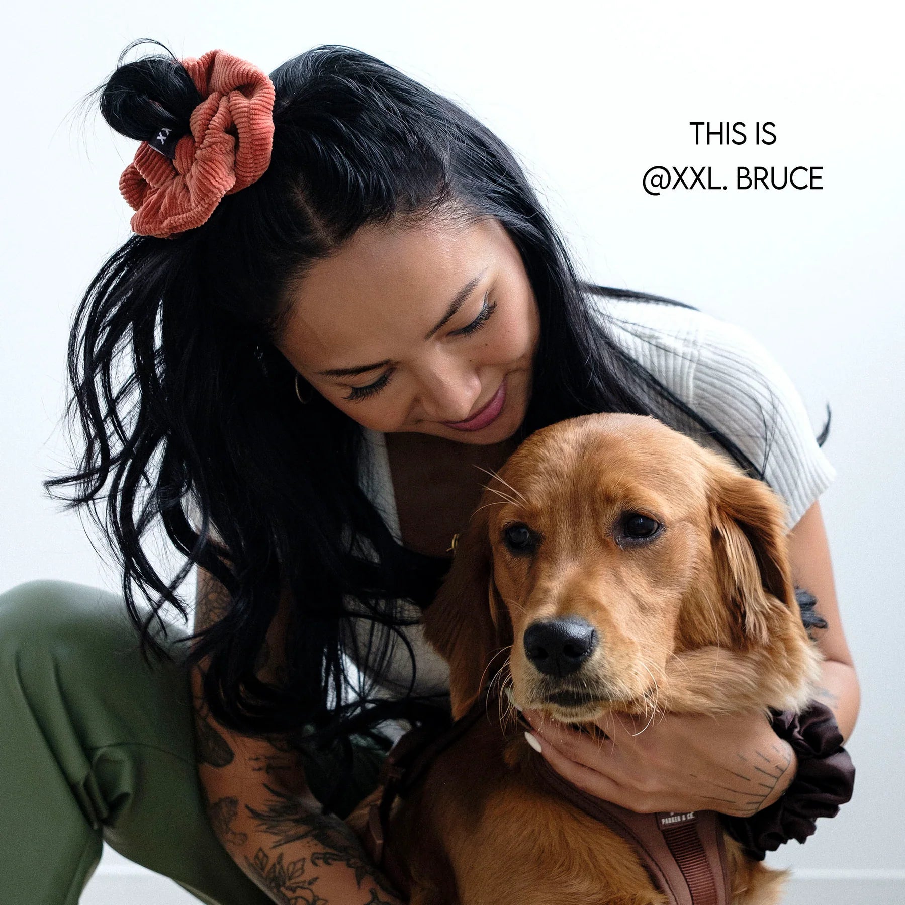 Bruce Mini